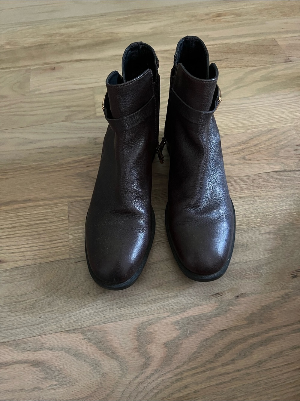 Tod's Dark Brown Leather Ankle Booties with Side Zip